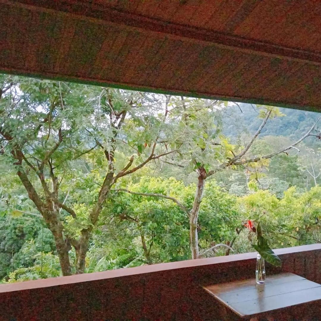 Casa Miramar Villa Uvita Exteriör bild