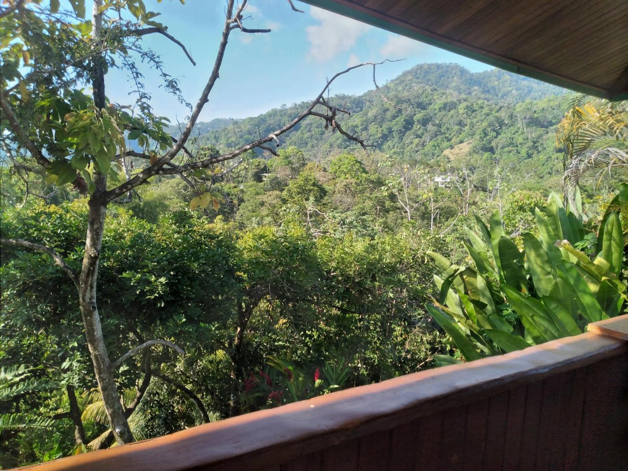 Casa Miramar Villa Uvita Rum bild